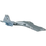 Order Hood Hinge Assembly - FO1236199 For Your Vehicle