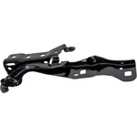 Order Hood Hinge Assembly - FO1236217 For Your Vehicle