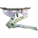 Order Assemblage de charnière de capôt - HY1236190 For Your Vehicle