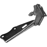Order Hood Hinge Assembly - NI1236108 For Your Vehicle