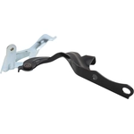 Order Hood Hinge Assembly - TO1236260 For Your Vehicle