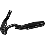 Order Hood Hinge Assembly - VW1236119 For Your Vehicle