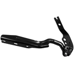 Order Hood Hinge Assembly - VW1236120 For Your Vehicle