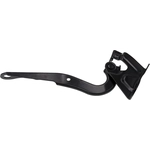 Order DORMAN (OE SOLUTIONS) - 820-474 - Hood Hinge For Your Vehicle