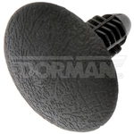 Order Hood Insulation Pad by DORMAN/AUTOGRADE - 700-398 For Your Vehicle