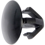 Order DORMAN/AUTOGRADE - 700-866 - Multi-Purpose Retainer For Your Vehicle