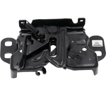 Order DORMAN (OE SOLUTIONS) - 820-041 - Hood Latch Assembly For Your Vehicle