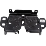 Order DORMAN (OE SOLUTIONS) - 820-042 - Hood Latch Assembly For Your Vehicle