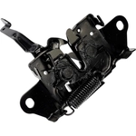 Order DORMAN (OE SOLUTIONS) - 820-044 - Hood Latch Assembly For Your Vehicle