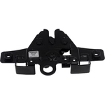 Order DORMAN (OE SOLUTIONS) - 820-049 - Hood Latch Assembly For Your Vehicle