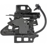 Order Hood Latch by DORMAN (OE SOLUTIONS) - 820-204 For Your Vehicle