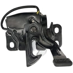 Order SKP - SK234121 - Hood Latch For Your Vehicle