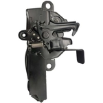 Order SKP - SK234200 - Hood Latch For Your Vehicle