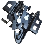 Order SKP - SK820201 - Hood Latch Assembly For Your Vehicle