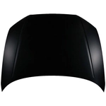 Order Hood Panel Assembly - AU1230128C For Your Vehicle