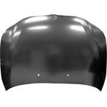 Order Hood Panel Assembly - BM1230125 For Your Vehicle