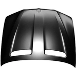 Order Hood Panel Assembly - BM1230126 For Your Vehicle