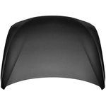 Order Hood Panel Assembly - BM1230136 For Your Vehicle