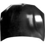 Order Hood Panel Assembly - BM1230146C For Your Vehicle