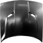 Order Hood Panel Assembly - CH1230308C For Your Vehicle