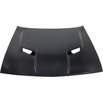 Order Various Manufacturers - CH1230308C - Hood Panel Assembly For Your Vehicle