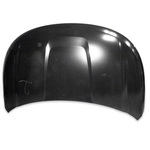 Order Hood Panel Assembly - FO1230302 For Your Vehicle