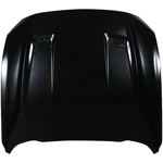 Order Hood Panel Assembly - FO1230326 For Your Vehicle