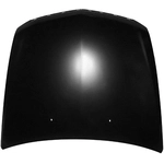 Order Hood Panel Assembly - GM1230383 For Your Vehicle