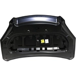 Order Hood Panel Assembly - GM1230428C For Your Vehicle