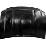 Order Hood Panel Assembly - GM1230447C For Your Vehicle