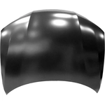 Order Hood Panel Assembly - HO1230172 For Your Vehicle
