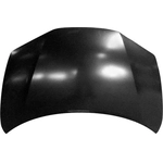 Order Hood Panel Assembly - HO1230176 For Your Vehicle