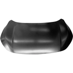 Order Various Manufacturers - HO1230182 - Hood Panel Assembly For Your Vehicle