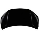 Order Hood Panel Assembly - HO1230189 For Your Vehicle