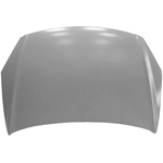 Order Hood Panel Assembly - HY1230143 For Your Vehicle