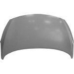 Order Hood Panel Assembly - HY1230156C For Your Vehicle