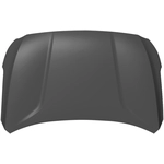 Order Hood Panel Assembly - HY1230175 For Your Vehicle