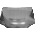 Order Hood Panel Assembly - KI1230110 For Your Vehicle