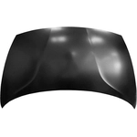 Order Hood Panel Assembly - KI1230131 For Your Vehicle