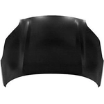 Order Hood Panel Assembly - KI1230138C For Your Vehicle