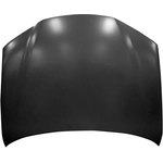 Order Hood Panel Assembly - LX1230124 For Your Vehicle