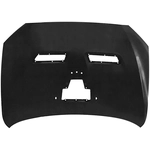 Order Hood Panel Assembly - MI1230217 For Your Vehicle