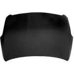 Order Hood Panel Assembly - NI1230173 For Your Vehicle