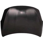 Order Hood Panel Assembly - NI1230191 For Your Vehicle