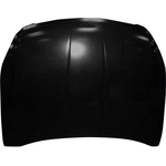 Order Hood Panel Assembly - NI1230194C For Your Vehicle