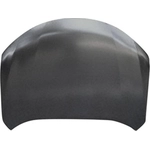 Order Hood Panel Assembly - NI1230197 For Your Vehicle