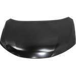 Order Various Manufacturers - NI1230197C - Hood Panel Assembly For Your Vehicle