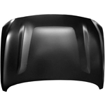 Order Hood Panel Assembly - NI1230213C For Your Vehicle