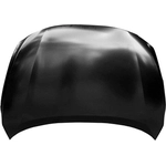 Order Hood Panel Assembly - NI1230215 For Your Vehicle