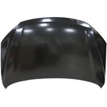 Order Hood Panel Assembly - NI1230217 For Your Vehicle